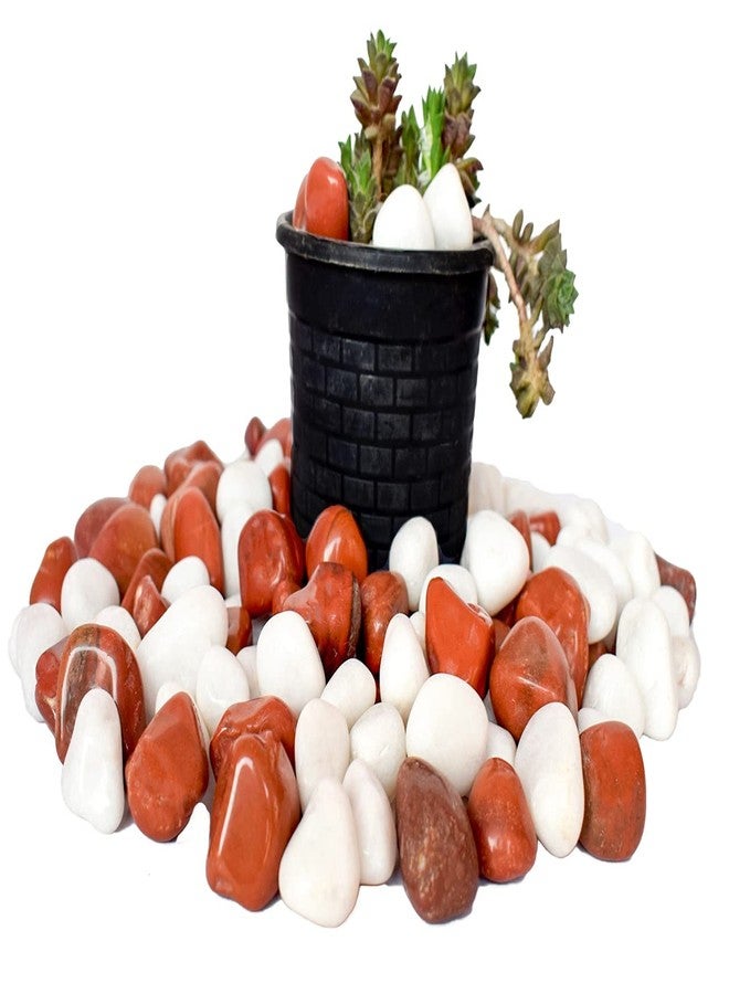 Power Stone Decorative Coloured Asymmetric Marble Stone Pebbles for Vase Filler Plant Pots Home Aquarium Fish Tanks Landscape Outdoor Garden Decoration (Brown & White, 2 Kg) - Image 3